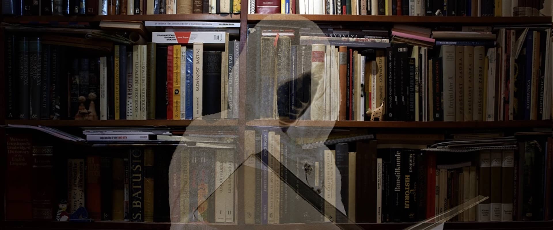 Femme transparente avec capuchon qui lit un livre devant une bibliothèque débordant de livres
