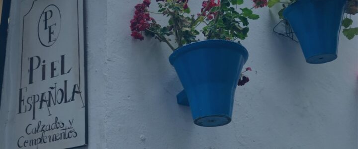Deux pots à fleurs bleus sur un mur blanc à côté d'une affiche Piel Espanola.
