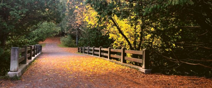 Sentier et pont à l’automne.