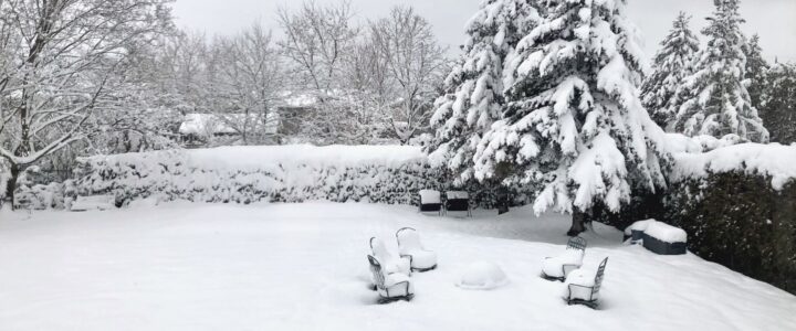 Cour arrière avec meubles et arbres enneigés