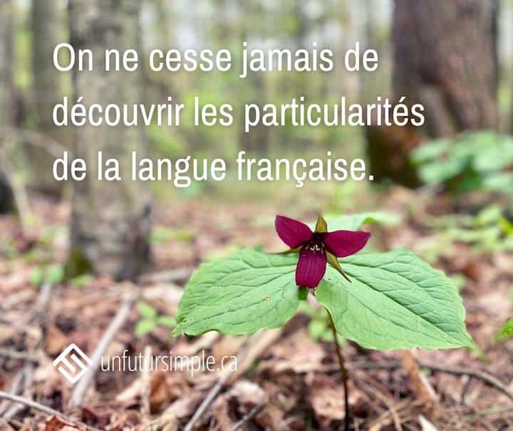 On ne cesse jamais de découvrir les particularités de la langue française. Arrière-plan: trille rouge dans un boisé.