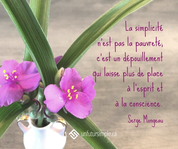 Citation de Serge Mongeau: La simplicité n’est pas la pauvreté; c’est un dépouillement qui laisse plus de place à l’esprit et à la conscience. Bouquet de petites fleurs violettes avec grandes feuilles minces en plongée sur une table grise.