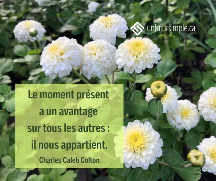 Citation de Charles Caleb Colton : Le moment présent a un avantage sur tous les autres : il nous appartient. Chrysanthèmes blanches avec feuillage.