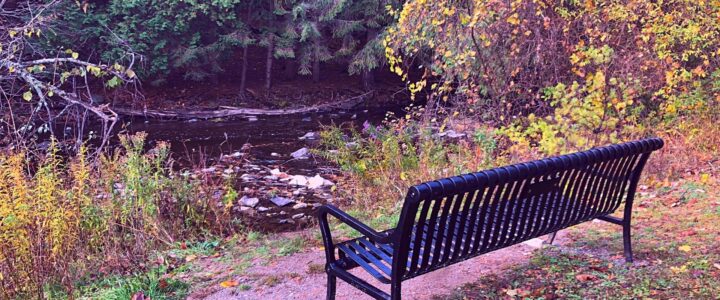 Banc devant une rivière à l'automne.