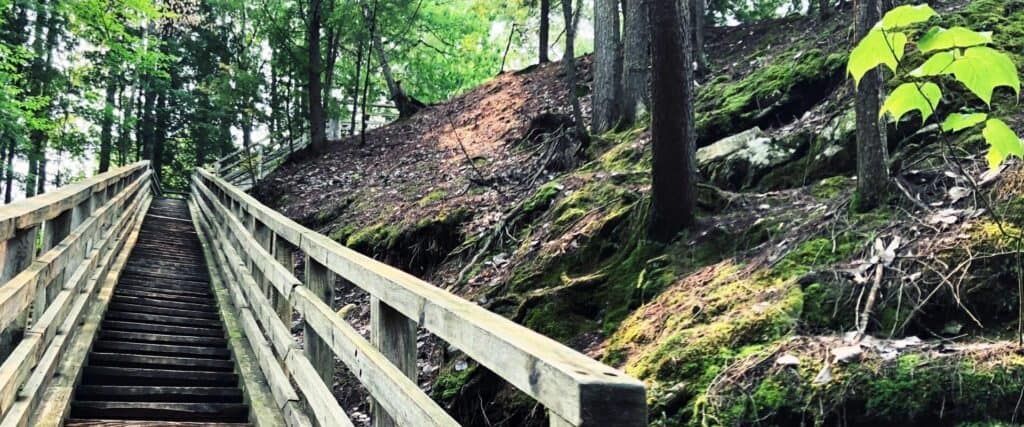 Escalier de bois qui monte à pic dans une forêt.