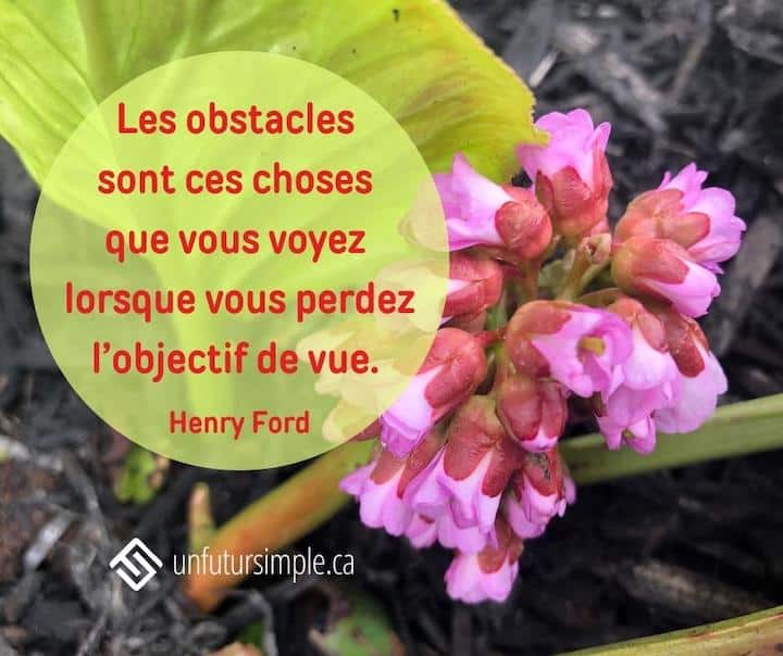 Citation de Henry Ford: Les obstacles sont ces choses que vous voyez lorsque vous perdez l’objectif de vue. Tige avec fleur rose qui sort de terre.