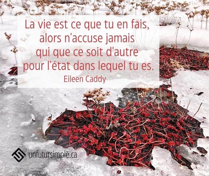 Citation de Eileen Caddy: La vie est ce que tu en fais, alors n'accuse jamais qui que ce soit d'autre pour l'état dans lequel tu es. Plantes rouges qui poussent à travers la glace.