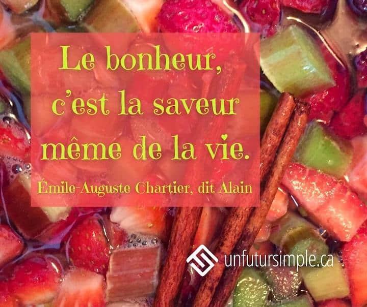 Citation de Émile-Auguste Chartier, dit Alain : Le bonheur, c’est la saveur même de la vie. Vue en plongée de morceaux de fraises, rhubarbe et bâton de cannelle qui mijotent
