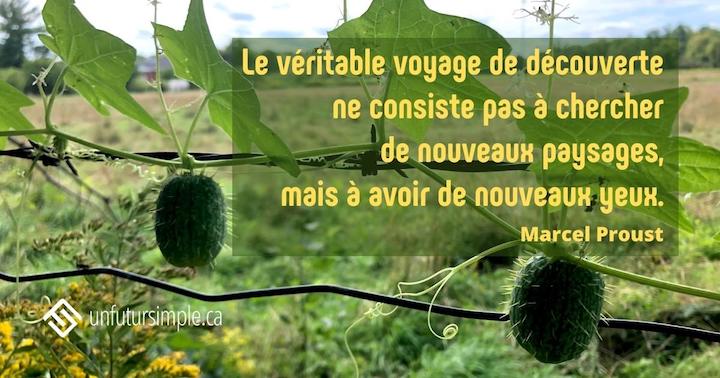 Citation de Marcel Proust: Le véritable voyage de découverte ne consiste pas à chercher de nouveaux paysages, mais à avoir de nouveaux yeux. Plante verte accrochée sur une clôture de broche avec deux fruits.