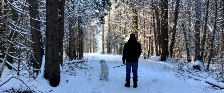 Jeune homme de dos avec chien dans un sentier de neige en forêt