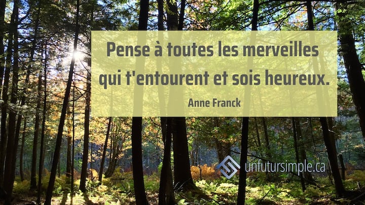 Citation de Anne Franck: Pense à toutes les merveilles qui t’entourent et sois heureux. Forêt d’automne éclairée à contre-jour par un soleil lointain.