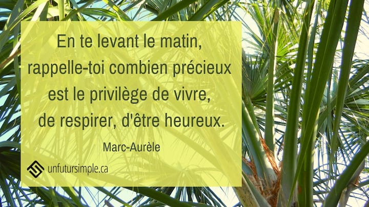 Citation de Marc-Aurèle : En te levant le matin, rappelle-toi combien précieux est le privilège de vivre, de respirer, d'être heureux. Contreplongée de palmiers sur un fond de ciel bleu clair.