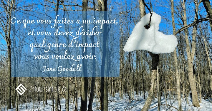 Citation sur votre impact de Jane Goodall: Ce que vous faites a un impact, et vous devez décider quel genre d'impact vous voulez avoir. Plaque de neige en forme de cœur suspendu à une branche d'arbre.