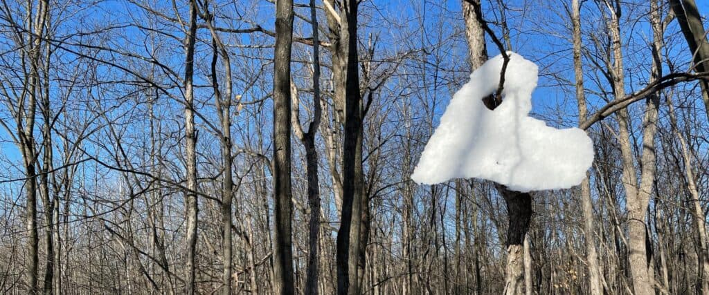 Plaque de neige en forme de cœur suspendue à une branche d'arbre