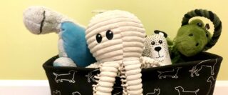 Jouets de chiens dans un panier noir