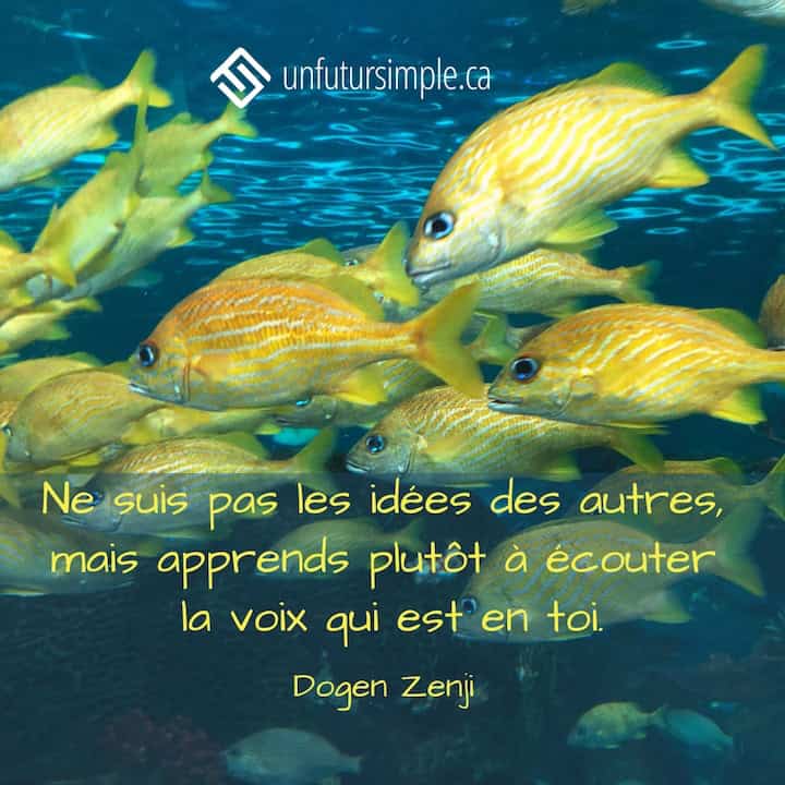 Citation de Dogen Zenji: Ne suis pas les idées des autres, mais apprends plutôt à écouter la voix qui est en toi. École de poissons jaunes dans un aquarium