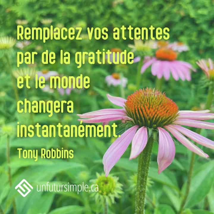 Citation sur les attentes de Tony Robbins: Remplacez vos attentes par de la gratitude et le monde changera instantanément. Échinacées en avant plan dans une plate-bande