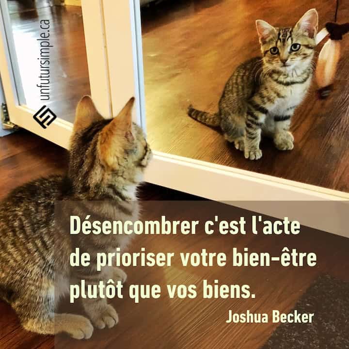 Citation de Joshua Becker: Désencombrer c'est l'acte de prioriser votre bien-être plutôt que vos biens. Chaton qui regarde sa réflexion dans une porte miroir