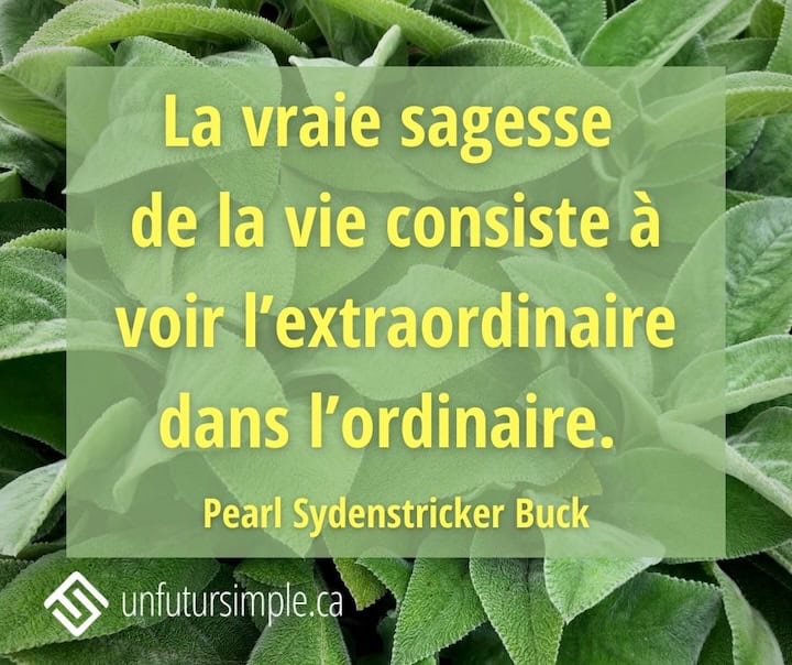 Citation de Pearl Sydenstrick Buck: La vraie sagesse de la vie consiste à voir l’extraordinaire dans l’ordinaire.
