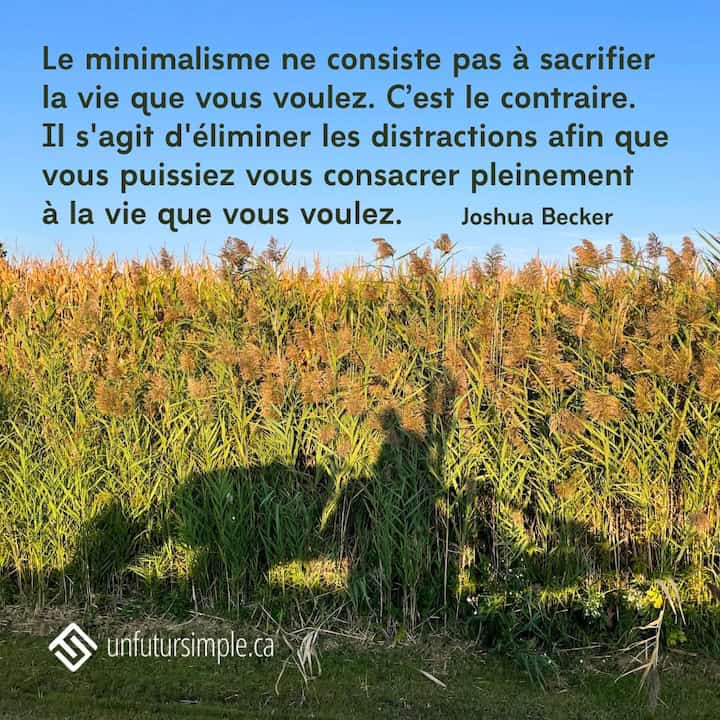 Citation de Joshua Becker: Le minimalisme ne consiste pas à sacrifier la vie que vous voulez. C’est le contraire. Il s'agit d'éliminer les distractions afin que vous puissiez vous consacrer pleinement à la vie que vous voulez. Ombre d'un tracteur devant de longues herbes.
