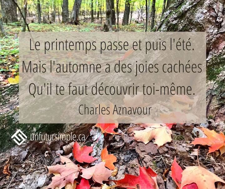 Citation sur les saisons de Charles Aznavour: Le printemps passe et puis l’été. Mais l’automne a des joies cachées Qu’il te faut découvrir toi-même. Feuilles d’érable rouges au pied d’un tronc sur une piste en forêt.