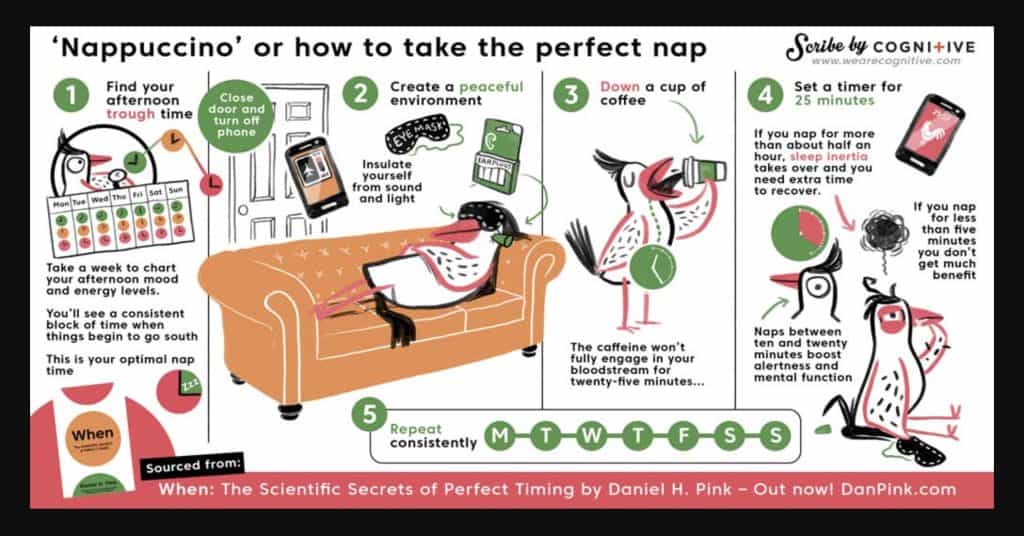 Infographie par Daniel Pink sur le nappuccino