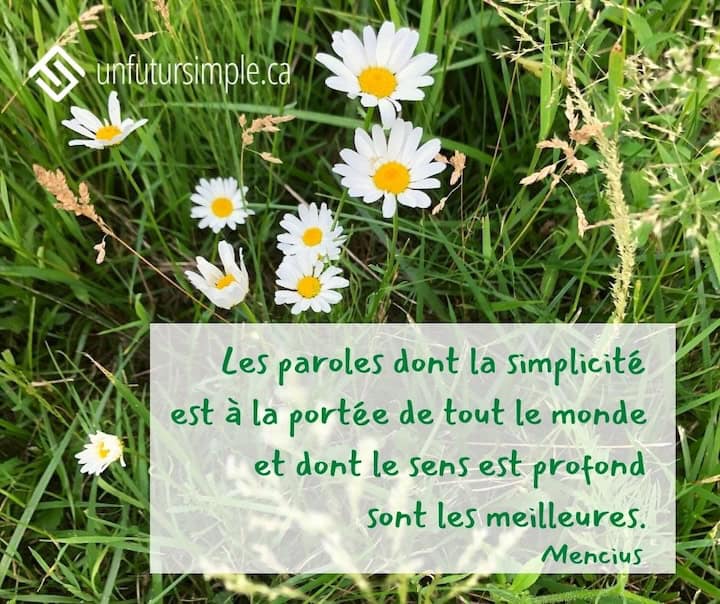 Citation de Mencius: Les paroles dont la simplicité est à la portée de tout le monde et dont le sens est profond sont les meilleurs. Marguerites blanches qui poussent dans de longues herbes vertes