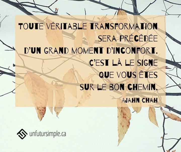 Citation de Ajhan Chah: Toute véritable transformation sera précédée d'un grand moment d'inconfort. C'est là le signe que vous êtes sur le bon chemin. Feuilles mortes suspendues sur des branches sur fond de neige