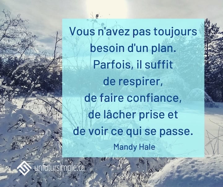 Citation de Mandy Hale: Vous n'avez pas toujours besoin d'un plan. Parfois il suffit de respirer, de faire confiance, de lâcher prise et de voir ce qui se passe. Buisson lourdement enneigée par une journée ensoleillée.